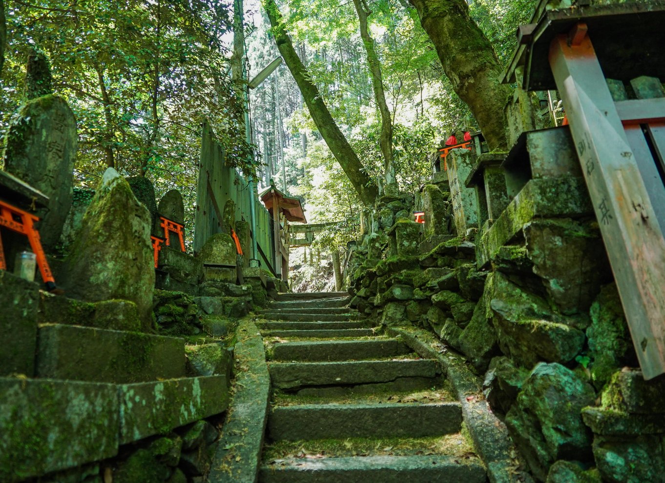 Kyoto: 3-timers skjult vandretur til Fushimi Inari-helligdommen