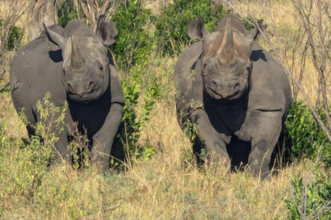 Lake Nakuru National Park Day Trip & Game Drive