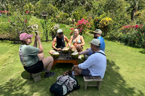 Bali: Sekumpul Waterfall With Waterslide & Rice Terrace Trek Group Tour with Hotel Transfer in Central Bali Area