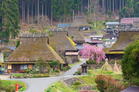 De Osaka: Ine Bay, Amanohashidate, Miyama Village Tour de 1 dia