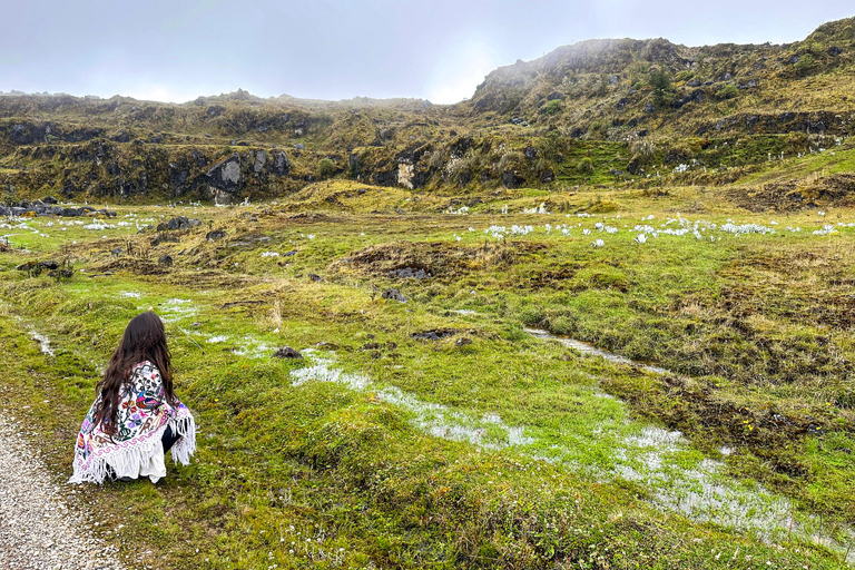 Bogotá: Experiencia de Conexión Páramos y Senderos Ancestrales