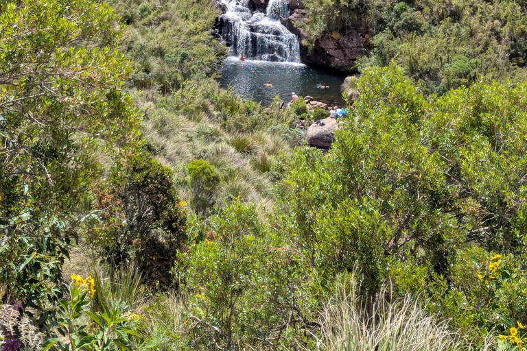 Teresópolis : circuit découverte de la faune de la forêt atlantiqueTeresópolis : Excursion à la découverte de la faune de la forêt atlantique