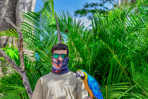 Punta Cana: Monkey Sanctuary, Farm & Cenote Swim Combo