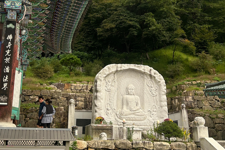 سيول: تجربة &quot;جانغ&quot; الكورية ورحلة صحية مع عشاءيانغبيونغ: تجارب الذواقة والعافية في يوم واحد.