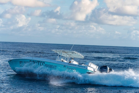 Montego Bay: dagtocht per speedboot naar Negril