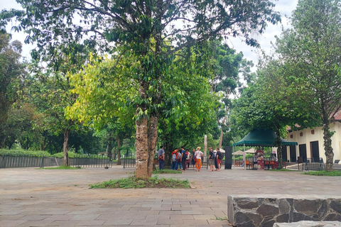 Setumbu Sunrise Borobudur, and Prambanan, with lunch option