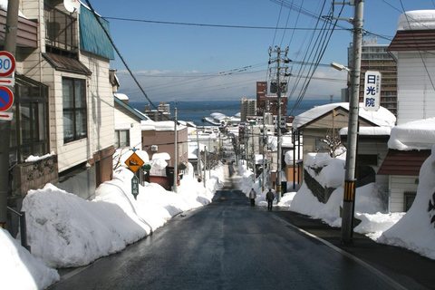 From Sapporo:Otaru Canal&Coastal Charm Private Customiz Tour MAX 9PAX
