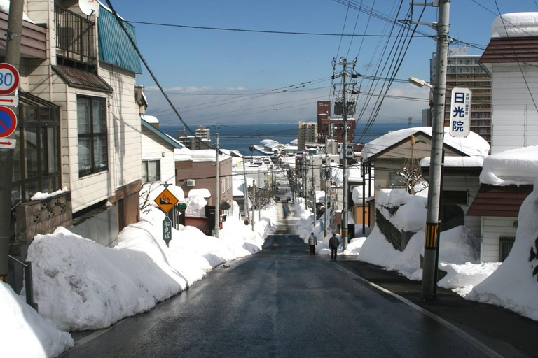 From Sapporo:Otaru Canal&Coastal Charm Private Customiz Tour MAX 9PAX