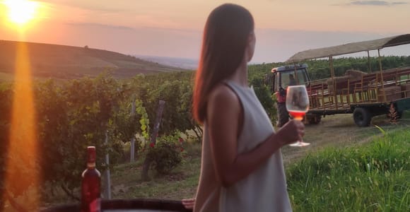 Von Belgrad: Novi Sad & Fruška Gora + Weinprobe