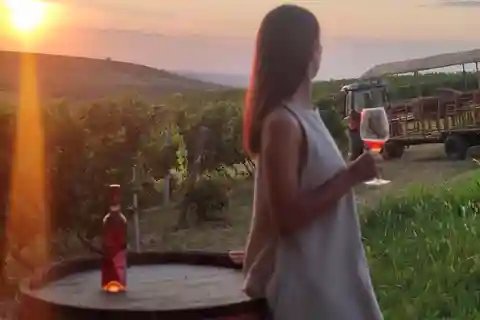 Fruška Gora Weinverkostung