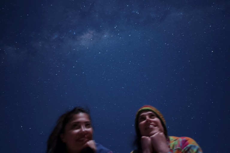 From Perth: Koala, Pinnacles Stargazing Day Tour