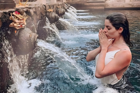 Ubud: Tour privato di templi, cascate e terrazze di risoTour di mezza giornata privato di Ubud 5-6 ore