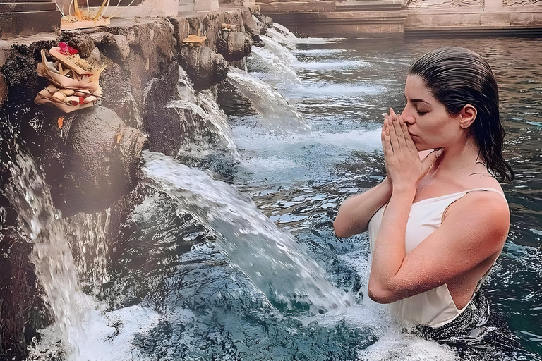 Ubud: Tour privato di templi, cascate e terrazze di risoTour di mezza giornata privato di Ubud 5-6 ore