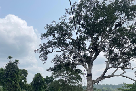 غانا: 3 أيام لمشاهدة معالم المدينة