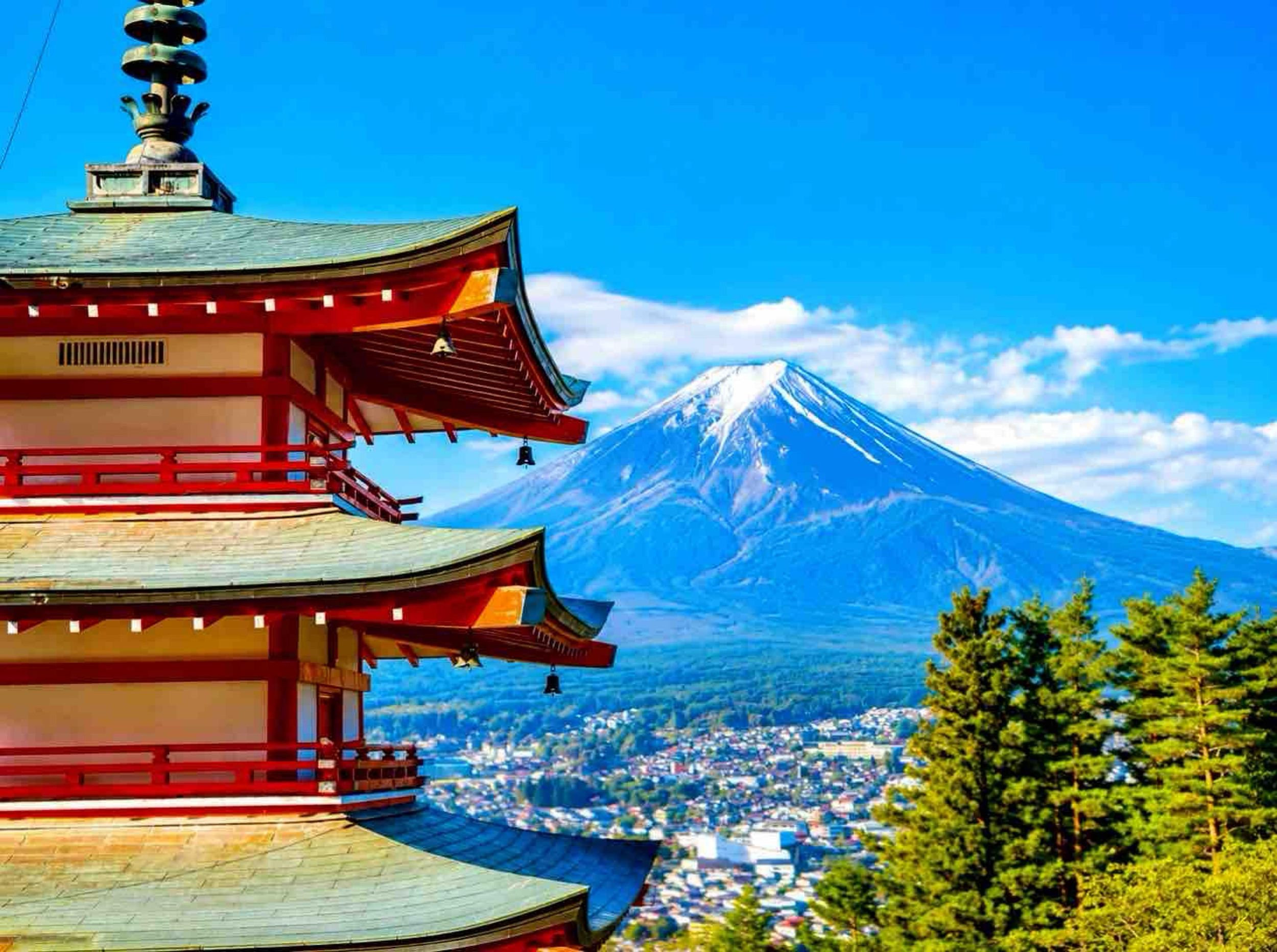 Ab Tokio: Private, anpassbare Tagestour zum Fuji und nach Hakone