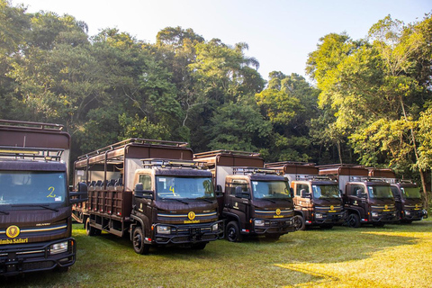 São Paulo: Simba Safari Entry Ticket