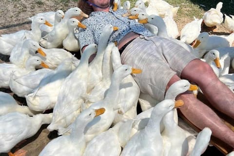 Hoi An Duck Farm & Coconut Boat Tour - Image 2