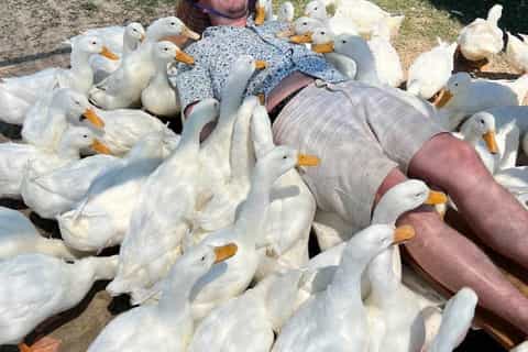 Hoi An Duck Farm & Coconut Boat Tour - Image 3