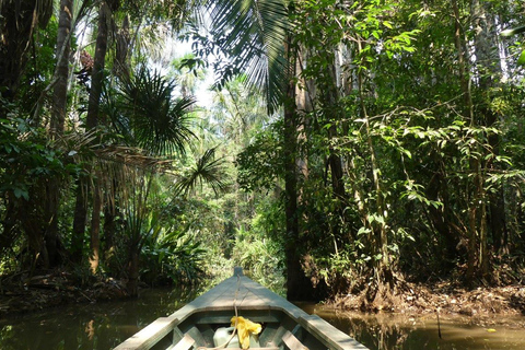 Visite d'une jounée en Kayak +Isla de los Monos