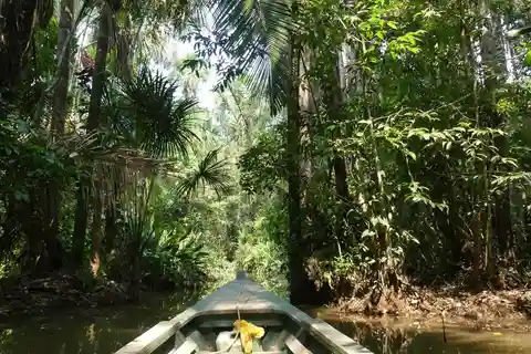Tour en Kayak +Isla de los Monos día completo