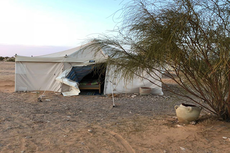De Djerba e Zarzis : Noite selvagem no deserto