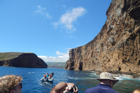 (إيلهيوس داس كابراس في جزيرة تيرسيرا).