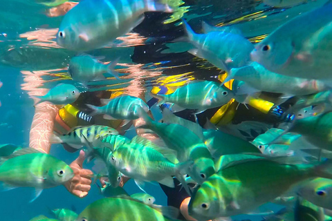 Private Group Snorkeling 3 Gili Islands from Gili Trawangan