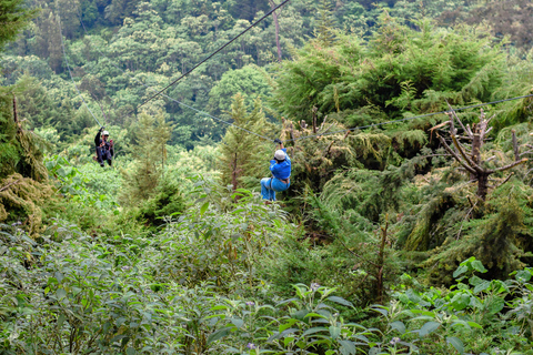 Kenya: la più lunga avventura in zipline in Africa a The Forest.