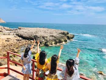 Tour di Binh Lap Hang Rai - Campo di pecore - Vinh Hy - Vigneto