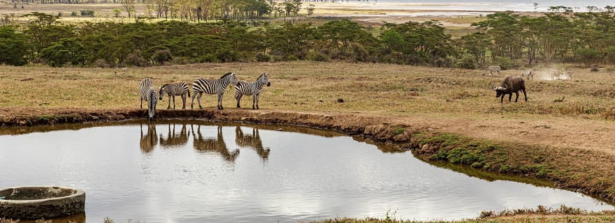 nakuru:visite guidée privée
