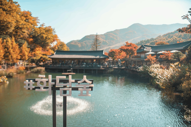 Seúl: Hwadamsup, luge y aldea folclórica coreana. Excursión de un día.Excursión en grupo, encuentro en Hongdae (Hongik Uni)