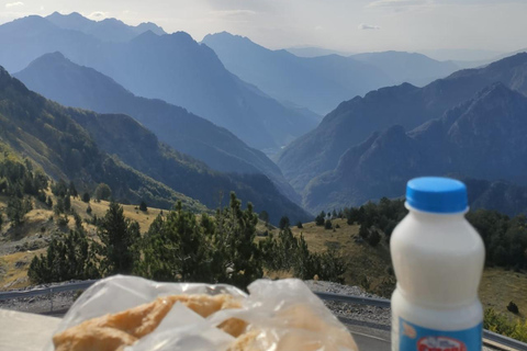 Tirana: Albanska Alperna och Theth Village Dagsutflykt med lunch