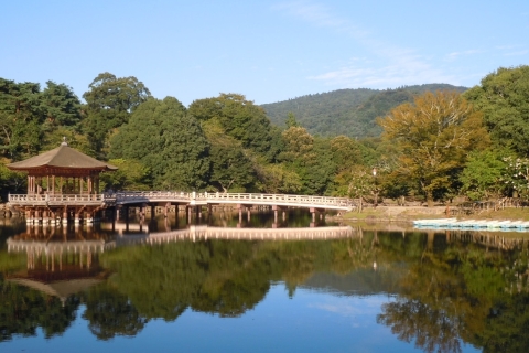 Au départ de Tokyo : Kyoto et Nara Visite privée sur mesure par Alphard