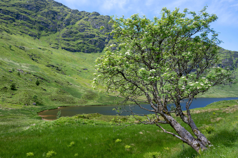 Edinburgh: 3-Day Small-Group Isle of Skye & Highlands