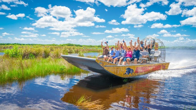 Visit Everglades Mangrove, Grassland Airboat Tours, & Boardwalk in Everglades