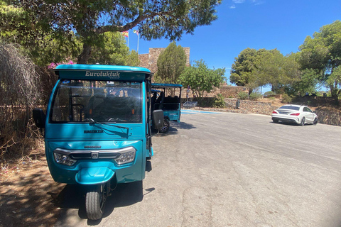 马拉加：圣诞夜之旅和嘟嘟车灯光之旅