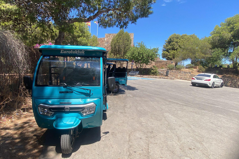 马拉加：圣诞夜之旅和嘟嘟车灯光之旅