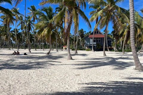 La Romana: rejs wycieczkowy na wyspę Saona z lunchemLa Romana: Rejs wycieczkowy na wyspę Saona z lunchem