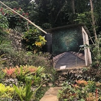 Ahhh Ras Natango Gallery and Garden with Transportation - Housity