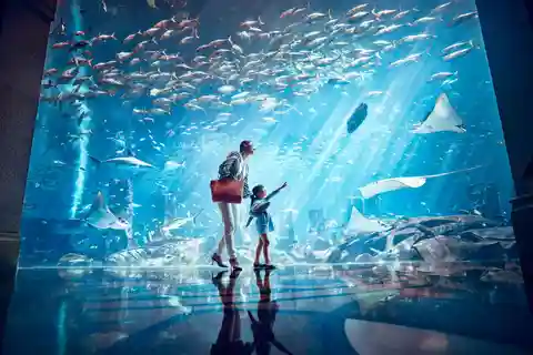Lost Chambers Aquarium Entry Ticket