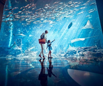 Lost Chambers Aquarium Entry Ticket