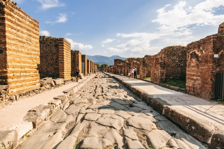 Depuis Sorrente : Pompéi avec un guide archéologique et un billet d'entrée