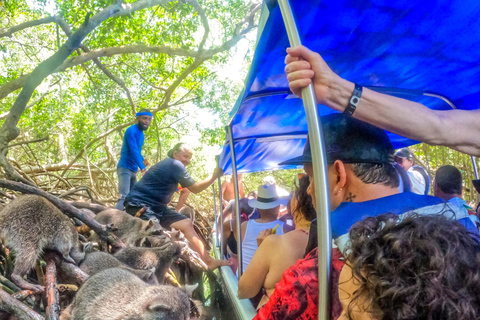 Evadez-vous de Carthagène à l&#039;île de Baru et admirez les mangroves !Tour des mangroves et du plancton