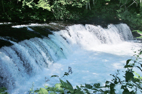 Shiretoko & Kiyosato: Five Lakes Full-Day Nature Tour