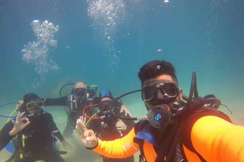 Hammamet: Guided Diving Experience with Hotel Transfer