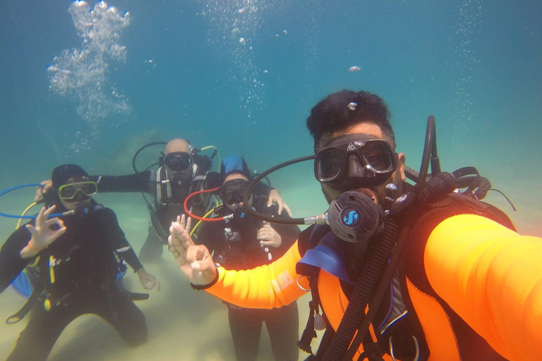 Hammamet: Guided Diving Experience with Hotel Transfer