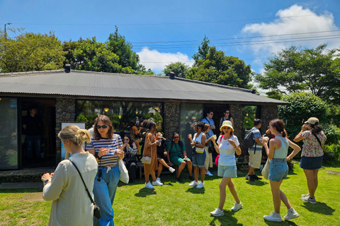 Jeju: Shore Excursion with Village Visit and Tastings