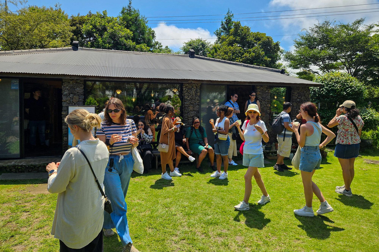 Jeju: Shore Excursion with Village Visit and Tastings