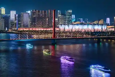 Hangzhou: Qiantang River Night Cruise Ticket