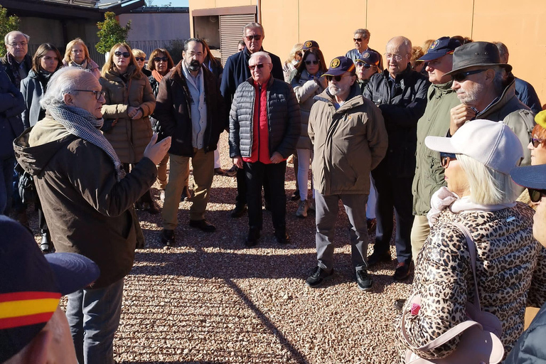 Valencia: tour dei vigneti, degustazione di vini locali e aperitivoValencia: tour dei vigneti, degustazione di vini locali e stuzzichini